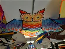 Premier rainbow owl 70" Owl